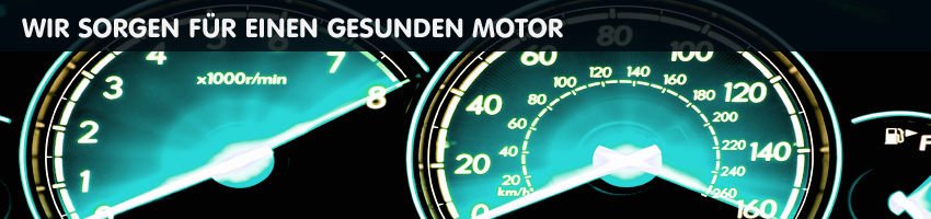 Wir sorgen für einen gesunden Motor